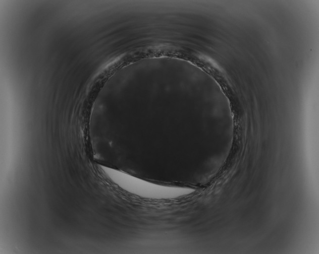 X0000086090919200704132122