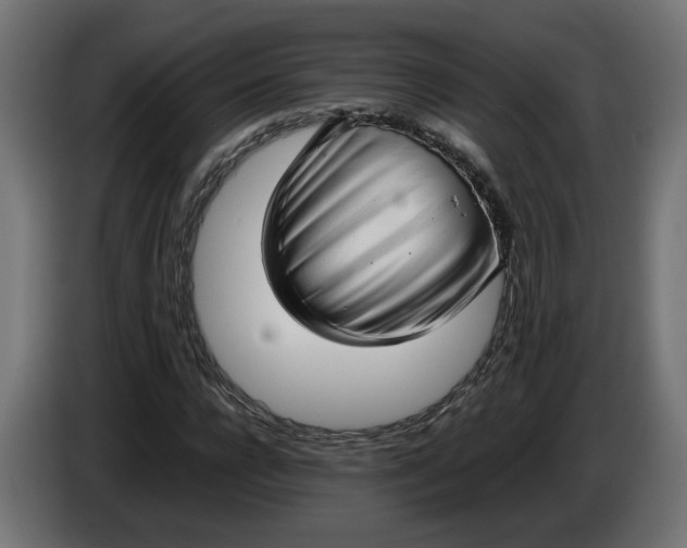 X0000086090920200704132122