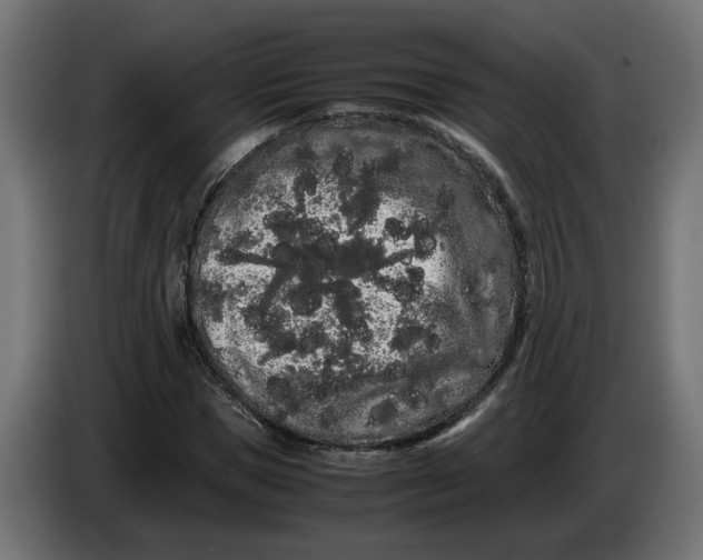 X0000086090921200704132122