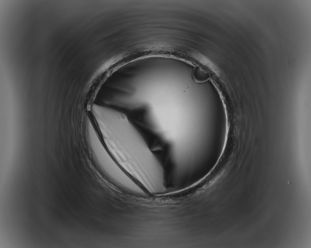 X0000086090922200704132122