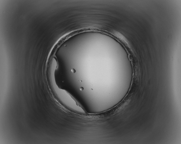 X0000086090924200704132122