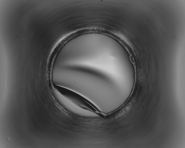 X0000086090927200704132122