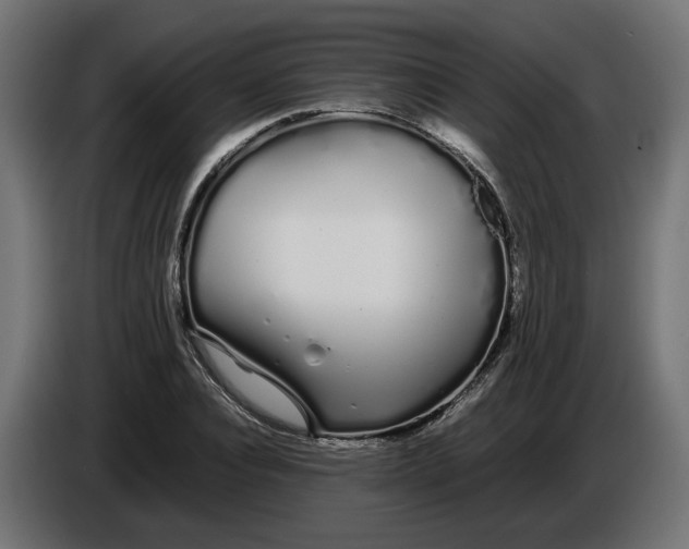 X0000086090928200704132122