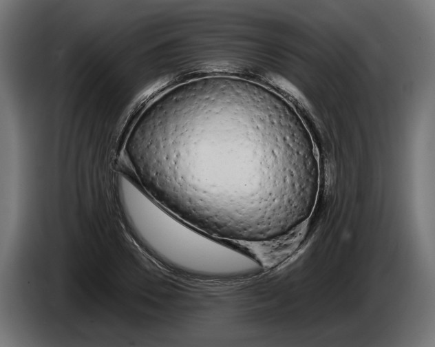 X0000086090930200704132122