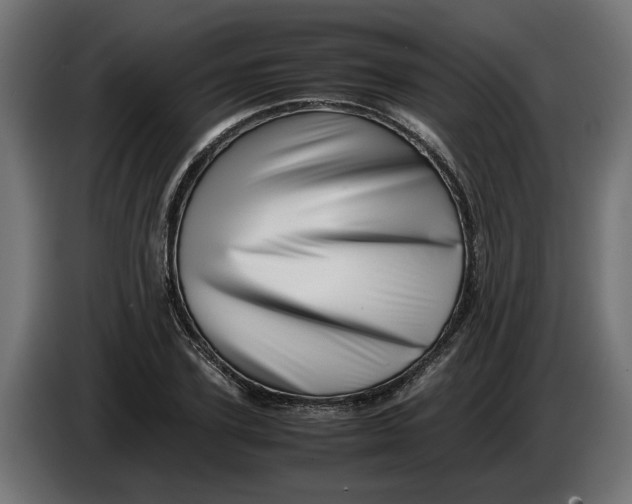 X0000086090931200704132122