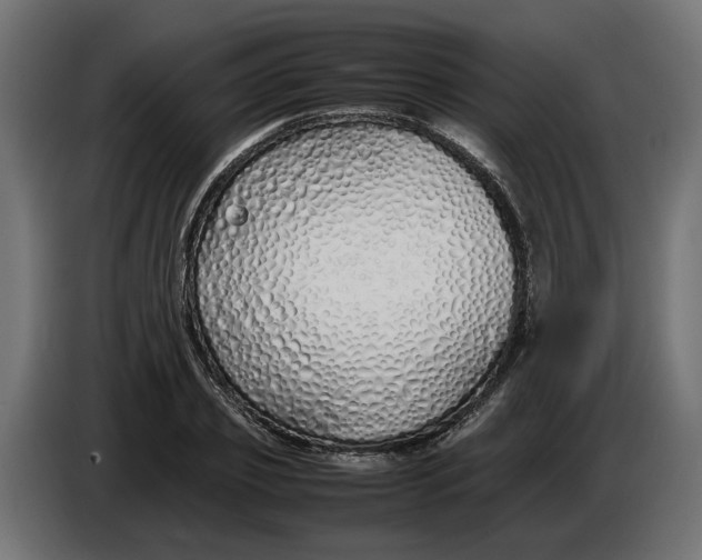 X0000086090933200704132122