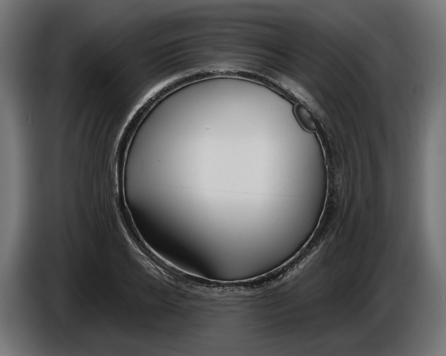 X0000086090934200704132122