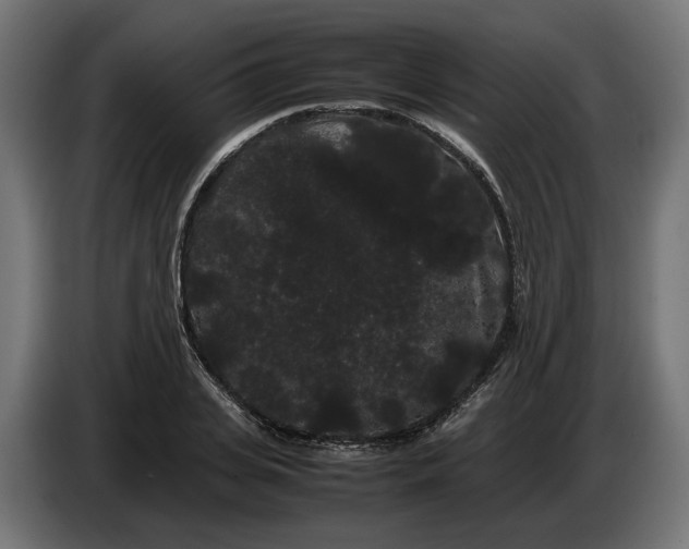 X0000086090935200704132122