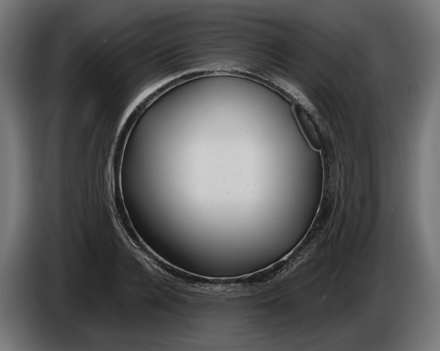 X0000086090936200704132122