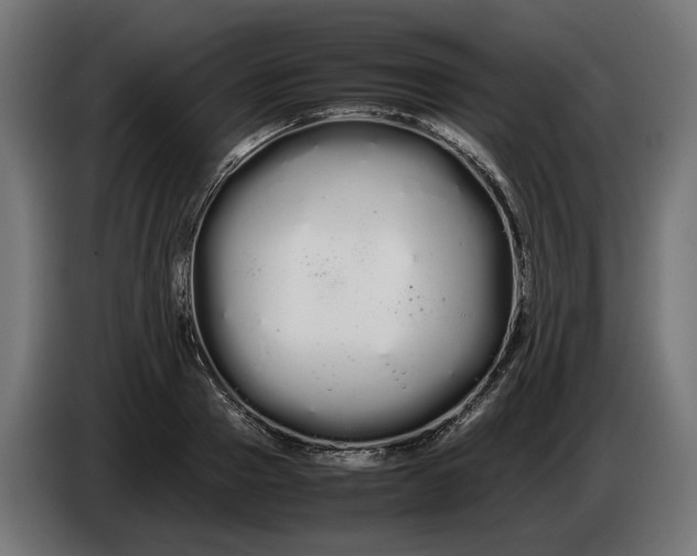 X0000086090937200704132122