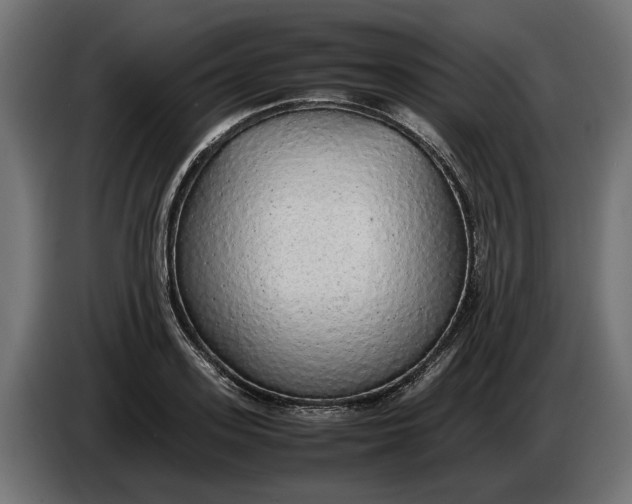 X0000086090939200704132122