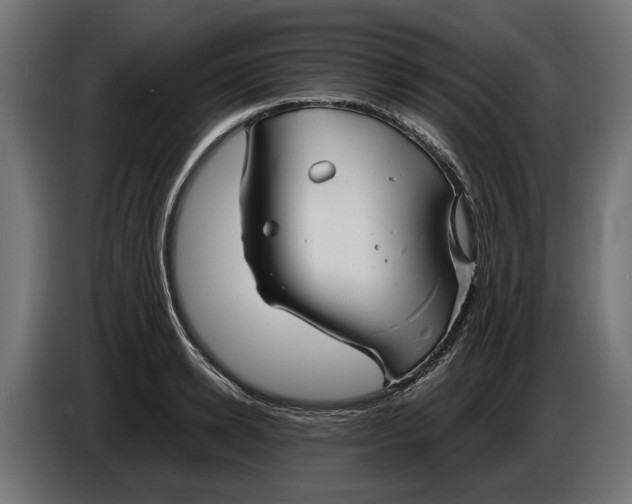 X0000086090942200704132122