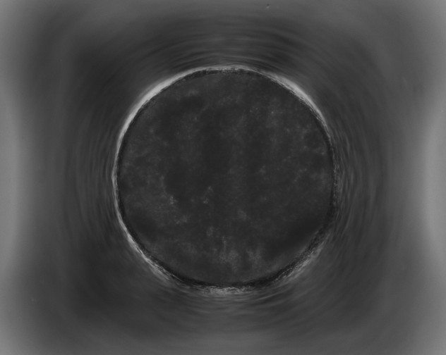 X0000086090943200704132122