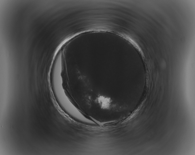 X0000086090944200704132122