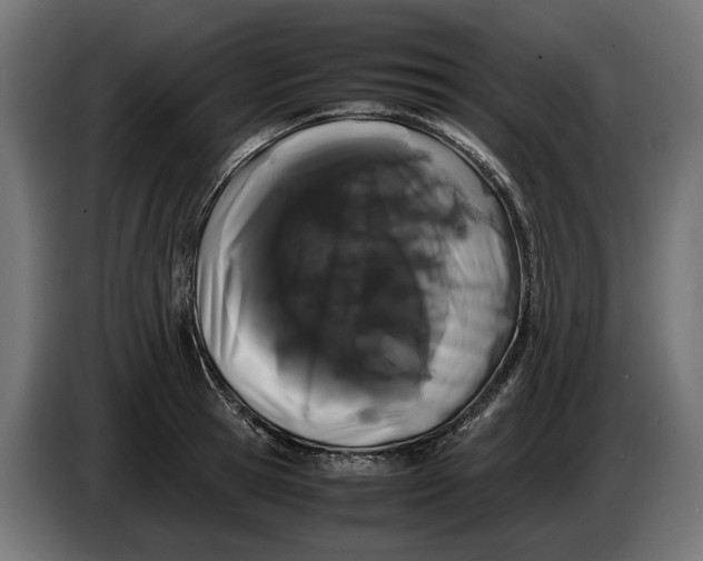 X0000086090945200704132122