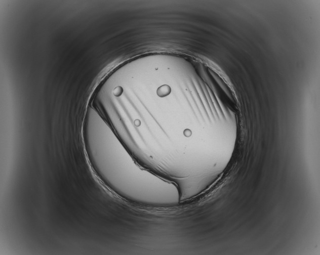 X0000086090946200704132122