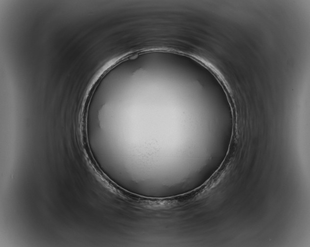 X0000086090949200704132122