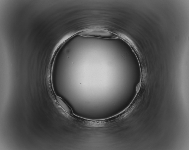 X0000086090952200704132122