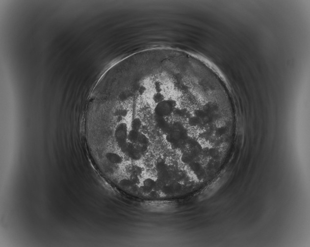 X0000086090953200704132122