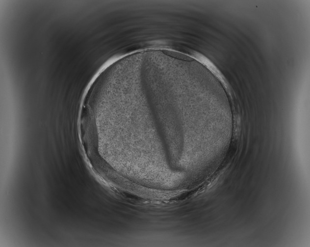 X0000086090955200704132123