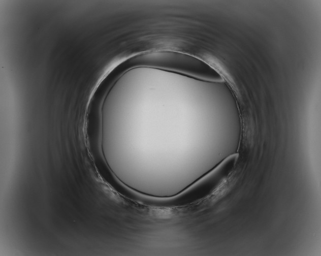 X0000086090956200704132123