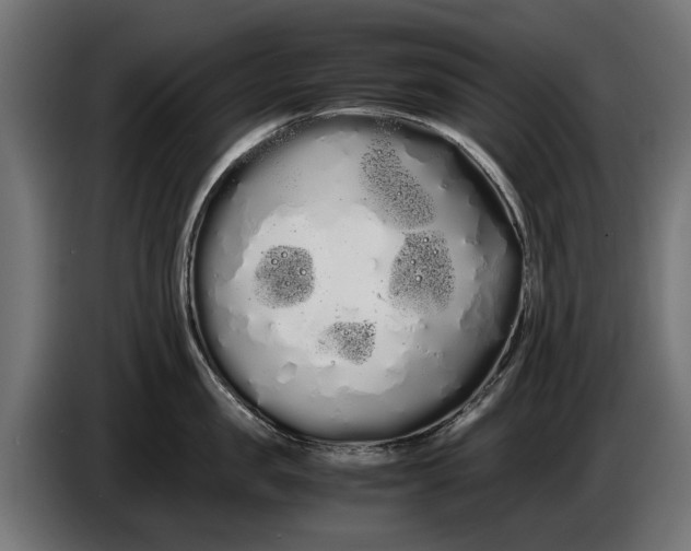 X0000086090957200704132123