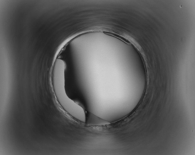 X0000086090960200704132123