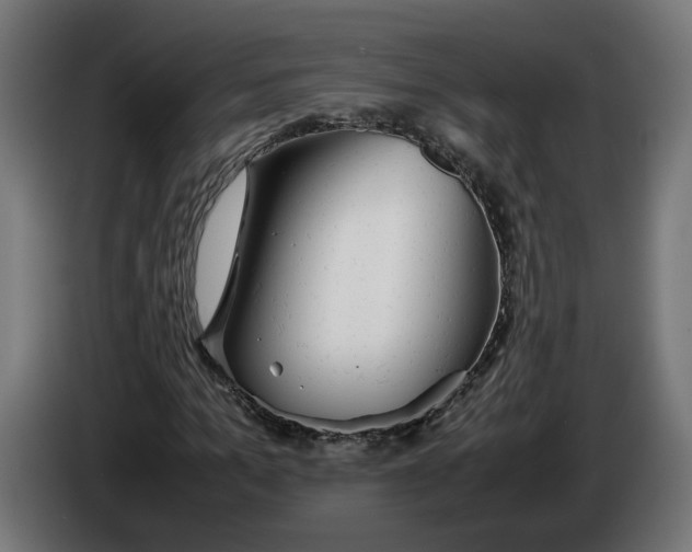 X0000086090965200704132122