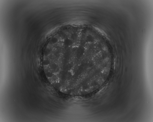 X0000086090966200704132122