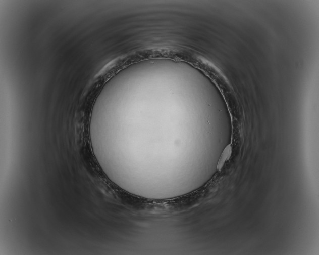 X0000086090968200704132122