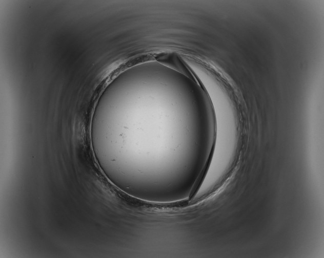 X0000086090969200704132122