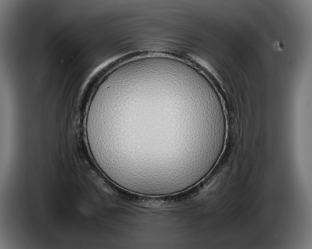 X0000086090971200704132122