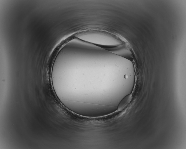 X0000086090973200704132122