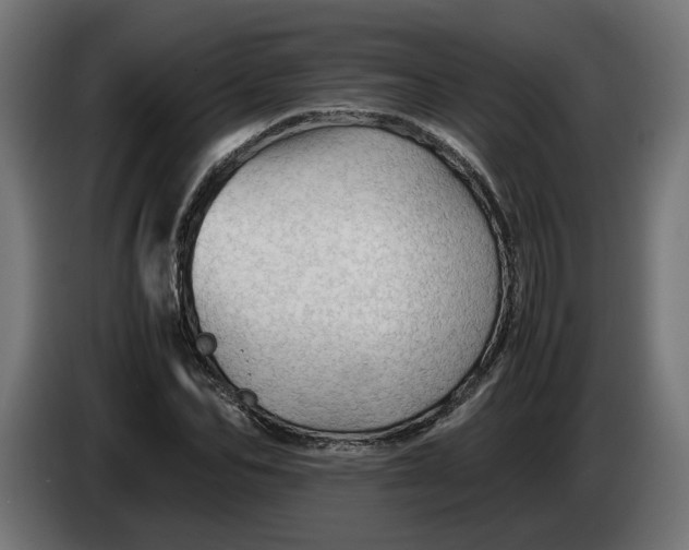 X0000086090974200704132122