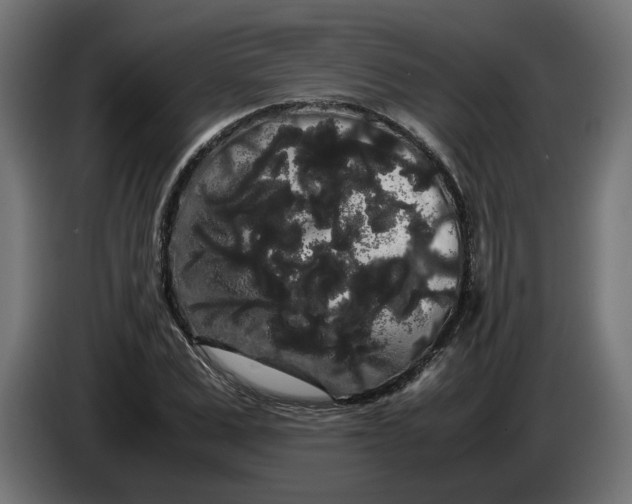 X0000086090975200704132122