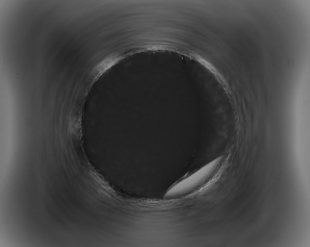 X0000086090977200704132122