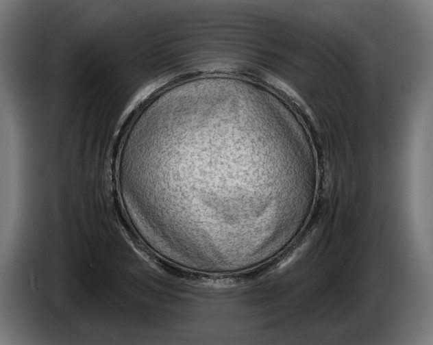 X0000086090978200704132122