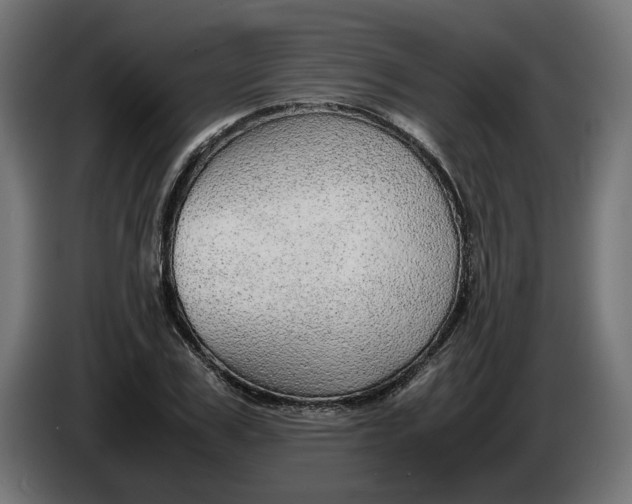 X0000086090979200704132122