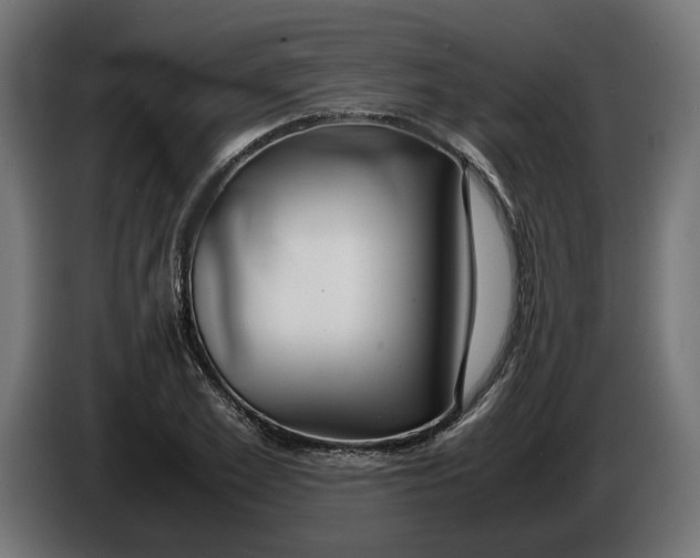 X0000086090981200704132122