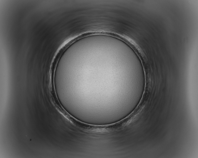 X0000086090982200704132122