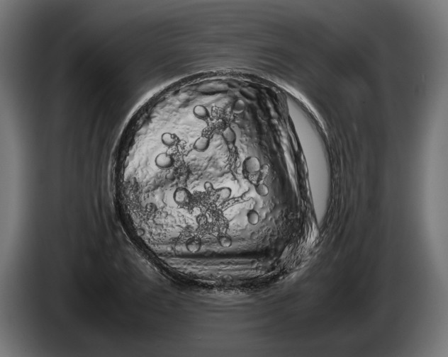 X0000086090983200704132121