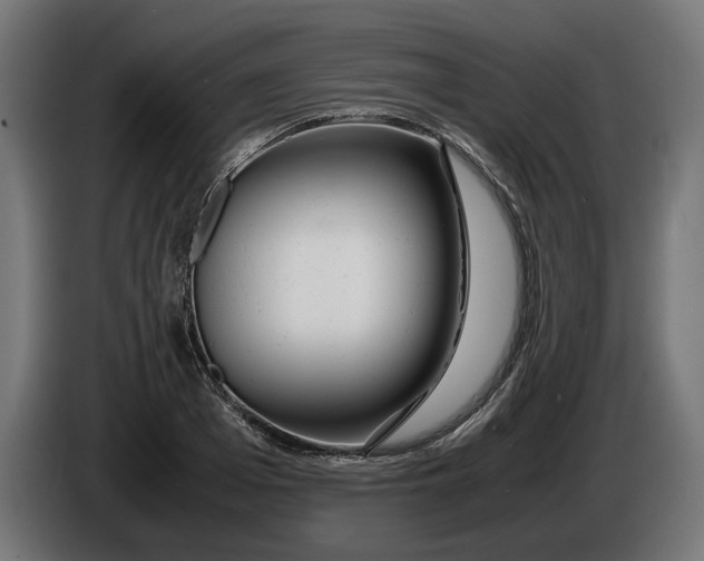 X0000086090985200704132121