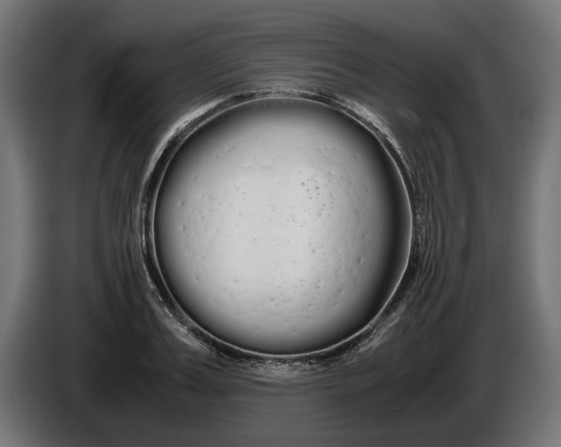 X0000086090987200704132121