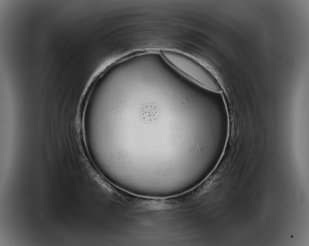 X0000086090990200704132121