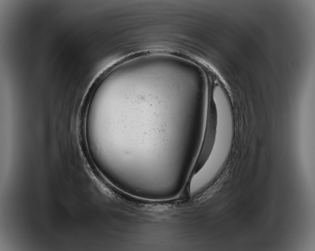 X0000086090991200704132121