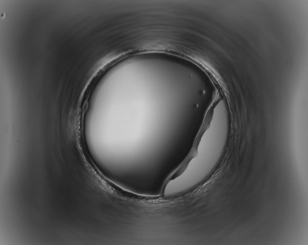 X0000086090992200704132121