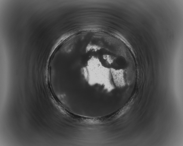 X0000086090994200704132121