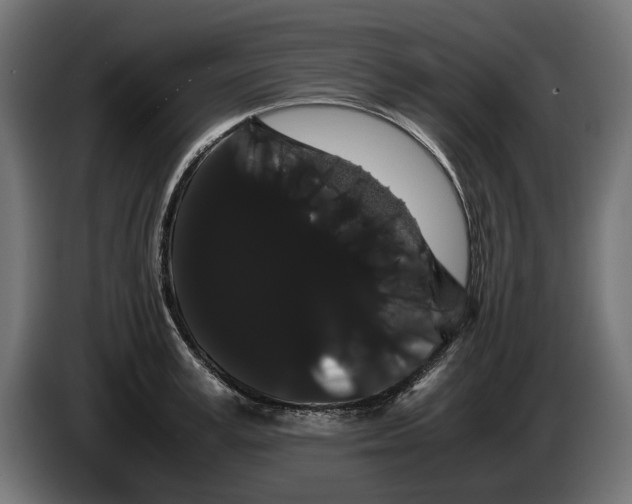 X0000086090995200704132121