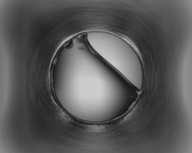 X0000086090996200704132121