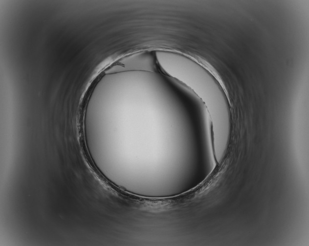 X0000086090997200704132121